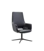 Ares Misafir Koltuğu