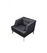 Arya Tekli Kanepe - Görsel 2